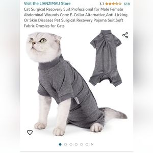Cat surgery onesie